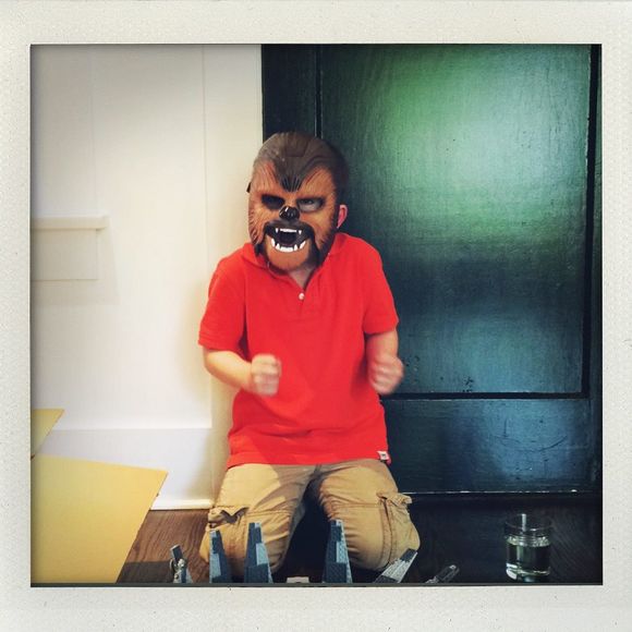 Meet your Posher, Lara - Picture 1 of 1